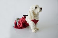 Sleepzak hond kat / drag bag XS
