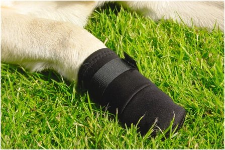 Beschermingsschoen voor honden maat XL