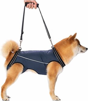 Tilharnas honden  Maat S