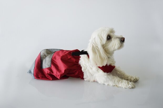 Sleepzak hond / drag bag XL