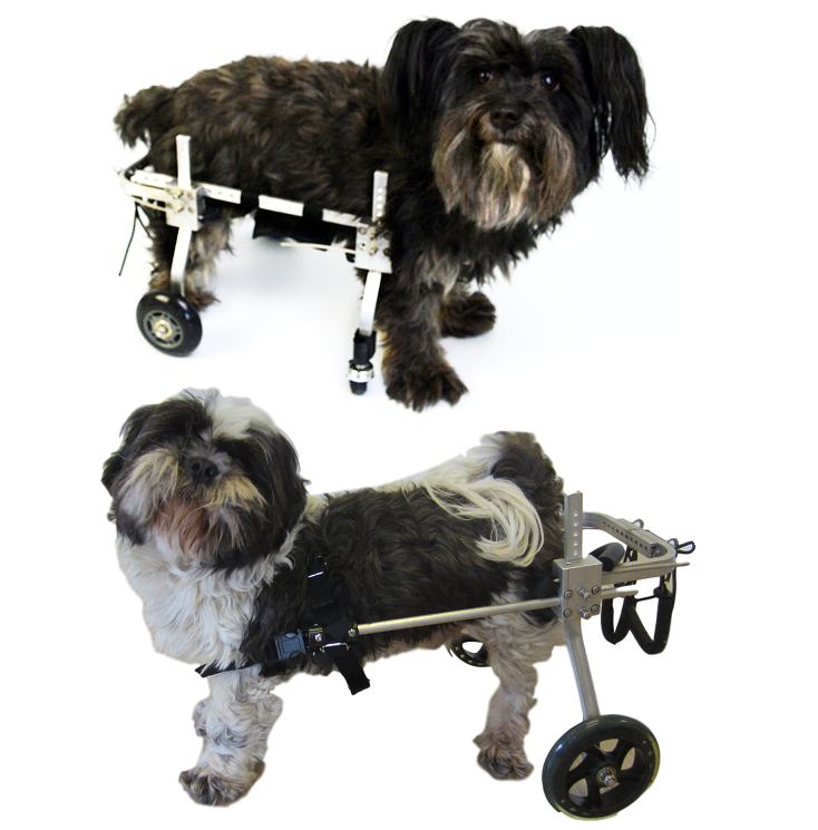 Welkom bij honden-rolstoel