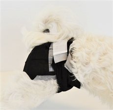 Honden luier maat S